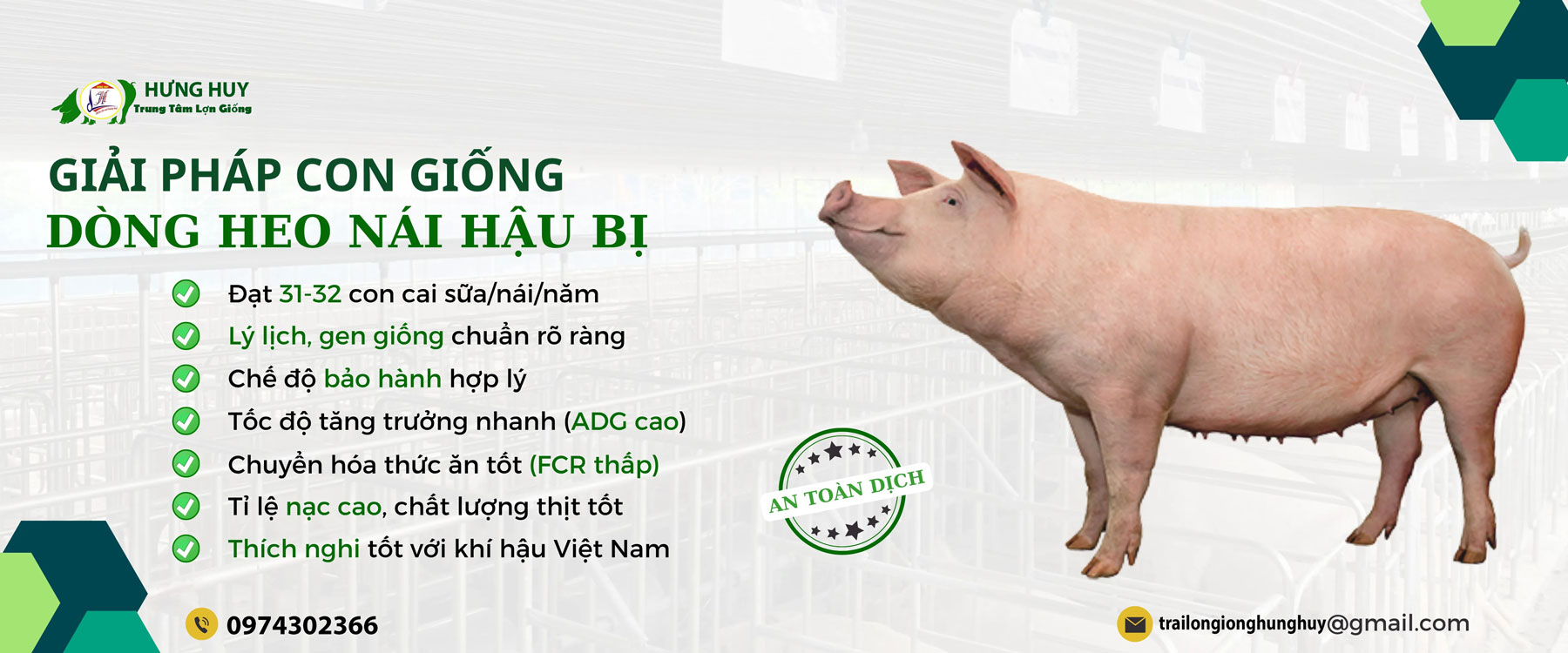 Trung tâm lợn giống Hưng Huy