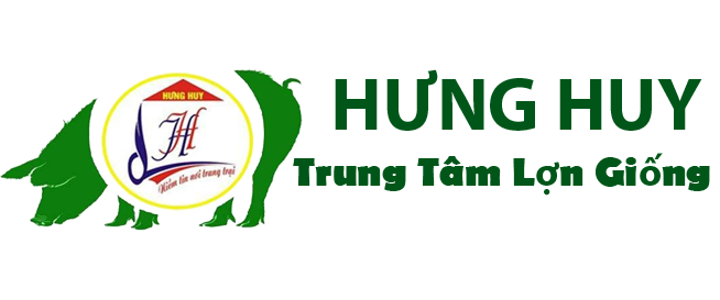Hưng Huy